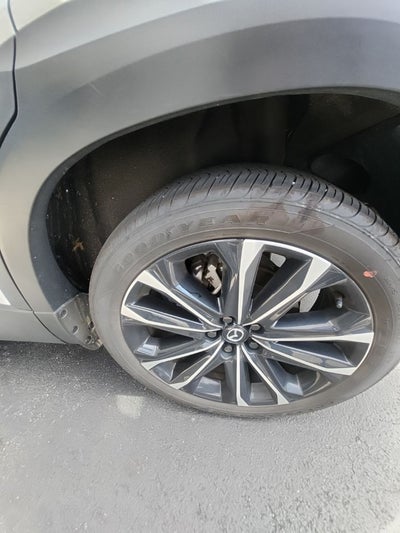 2024 Mazda Mazda CX-50 2.5 S Premium Plus Package