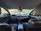 2019 Kia Sorento EX