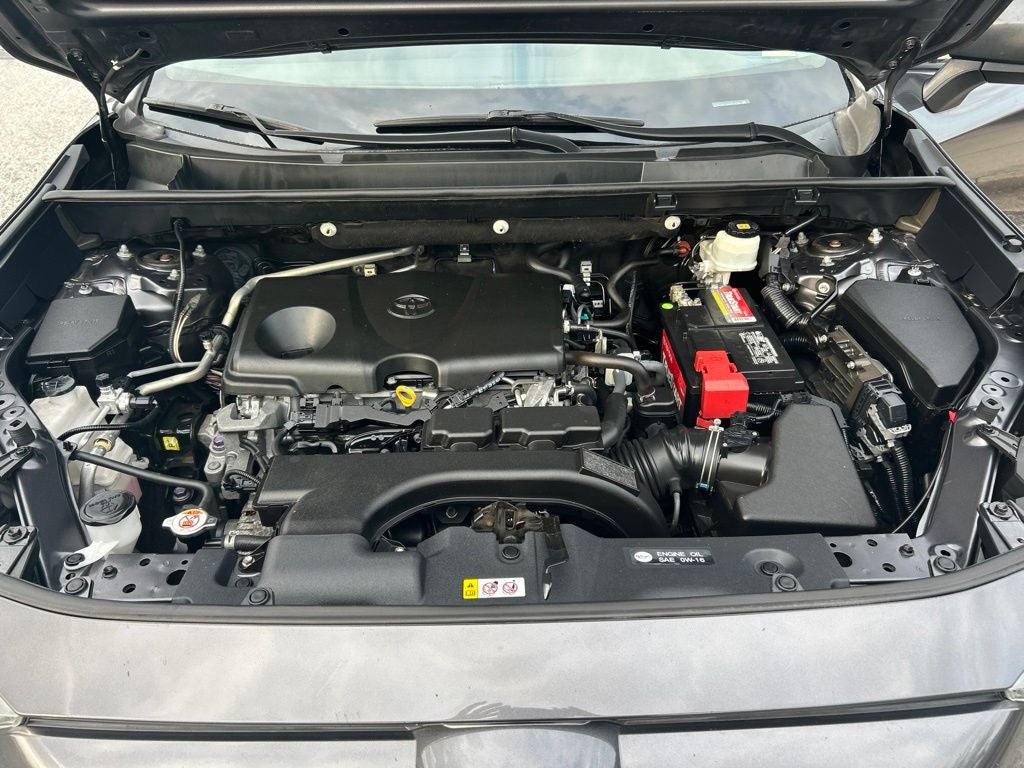 2019 Toyota RAV4 LE